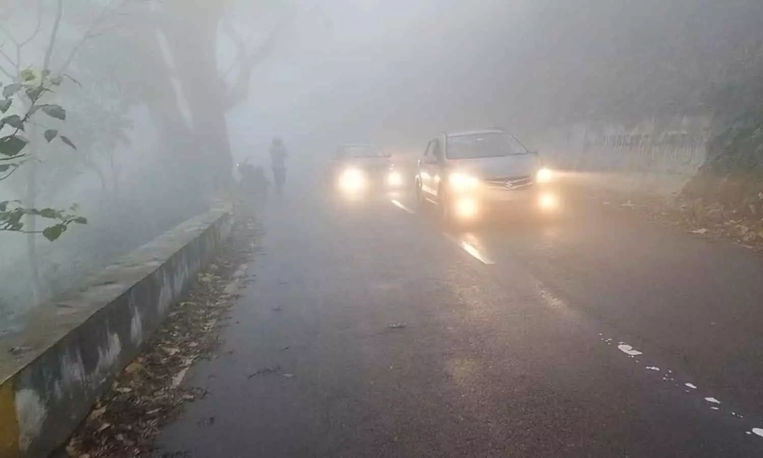 ஏற்காட்டில் கடும் பனிப்பொழிவு- முகப்பு விளக்குகளை ஒளிரவிட்டு சென்ற வாகனங்கள்