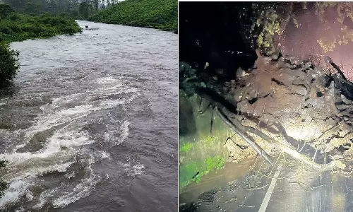 கோவை, நீலகிரியில் பரவலாக மழை