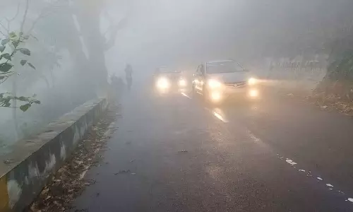 ஏற்காட்டில் கடும் பனிப்பொழிவு- முகப்பு விளக்குகளை ஒளிரவிட்டு சென்ற வாகனங்கள்