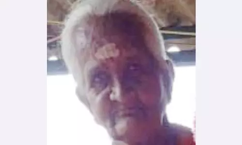 செம்மேடு அருகே காட்டு யானை தாக்கி மூதாட்டி படுகாயம்