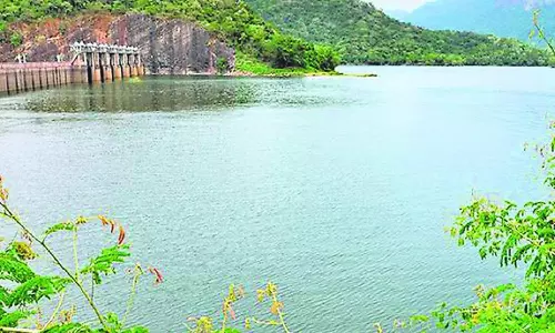 நெல்லை, தென்காசி மாவட்டங்களில் தொடர் மழையால் அணைகள் நீர்மட்டம் உயர்வு