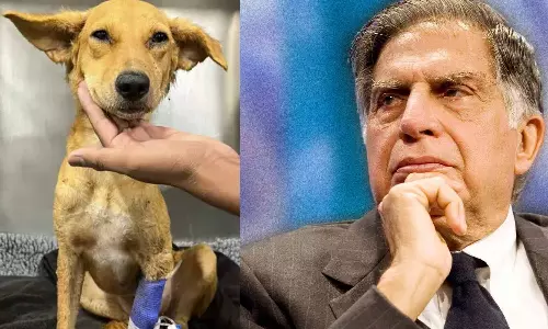 செல்லப்பிராணிக்காக உதவிகேட்ட ரத்தன் டாடா