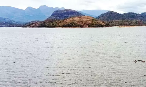 வனப்பகுதியில் கனமழை: உடுமலை அமராவதி அணையின் நீர்மட்டம் 6 அடி உயர்வு