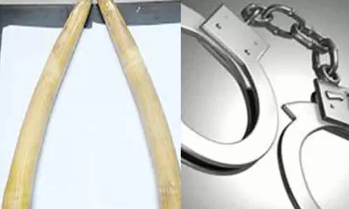 யானைத்தந்தம் விற்க முயன்ற 3 பேர் கைது