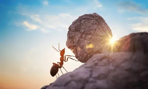 கடின உழைப்பும் கனிவான ஓய்வும்!