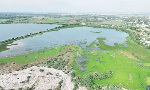 காஞ்சிபுரத்தில் குப்பைகழிவுகளை கொட்டுவதால் மாசடையும் ஏரிகள்