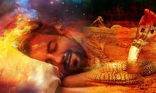 Snake Dream Meaning: பாம்பு  கனவில் வந்தால் நல்லதா? அதற்கு செல்ல வேண்டிய கோவில்கள்...