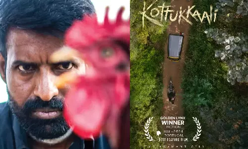 சர்வதேச திரைப்பட விழாக்களில் பல விருதுகளை அள்ளும் சூரியின் கொட்டுக்காளி