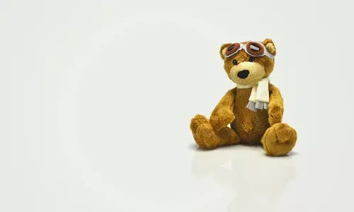 மிஸ்டர் Bean-க்கே டஃப் கொடுத்த நபர்.. பிடித்த பொம்மைக்காக ரூ.44,000 செலவிட்ட சுவாரஸ்ய சம்பவம்