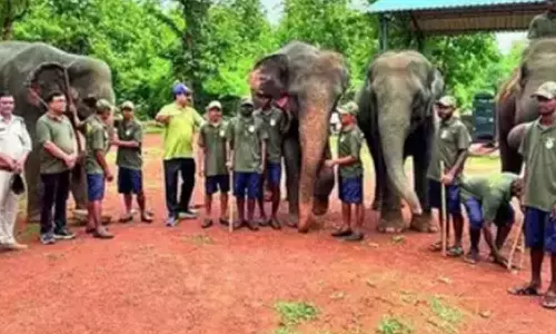 ஒடிசா சரணாலயத்தில் யானைகளுக்கான உணவகம் திறப்பு