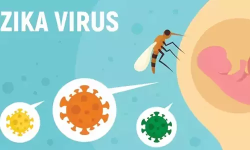 கர்ப்பிணிகளுக்கு அதிக பாதிப்பை ஏற்படுத்தும் ஜிகா வைரஸ் காய்ச்சல் பரவல்
