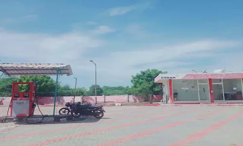 பண்ருட்டி அருகே மெத்தனால் பதுக்கி வைக்கப்பட்ட பெட்ரோல் பங்க் சீல் வைப்பு
