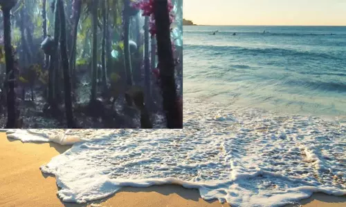 கடலுக்குள் காடுகள்