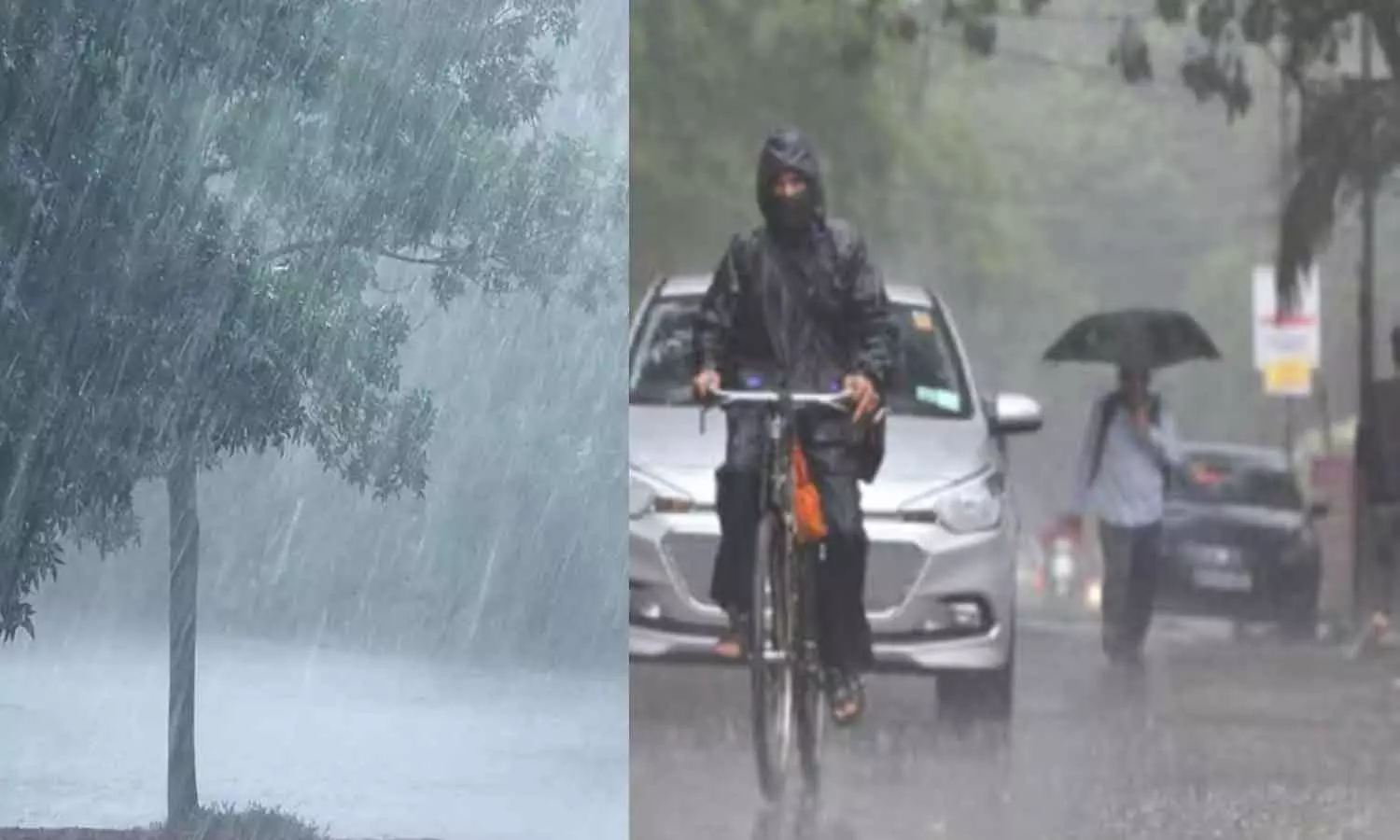 கனமழை எச்சரிக்கை- 7 மாவட்டங்களுக்கு இன்று மஞ்சள் அலர்ட் கனமழை எச்சரிக்கை- 7 மாவட்டங்களுக்கு இன்று மஞ்சள் அலர்ட்