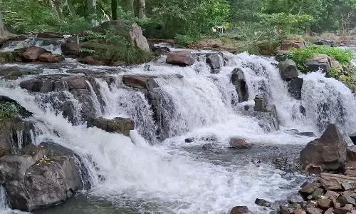 மேட்டூர் அணை நீர்மட்டம் 40 அடியை தாண்டியது