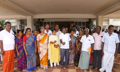 திருப்பூரில் வினோத ஈக்களுடன் மனு கொடுக்க வந்த பொதுமக்கள்