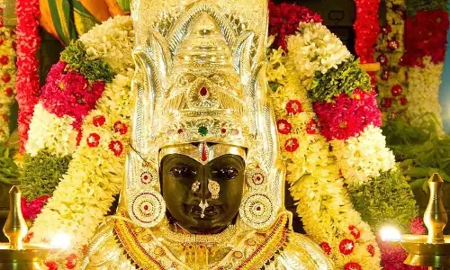 வேப்பிலையை கையில் எடுங்கள்!