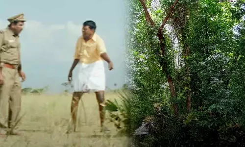 60 லட்சம் மரங்களை காணோம் - வழக்கு பதிந்த தேசிய பசுமை தீர்ப்பாயம்