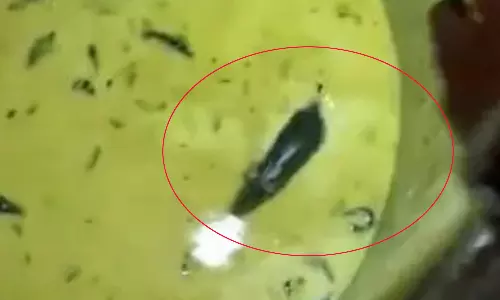 சட்னியில் நீச்சல் அடித்த எலி.. மாணவர்கள் அலறல்.. வீடியோ