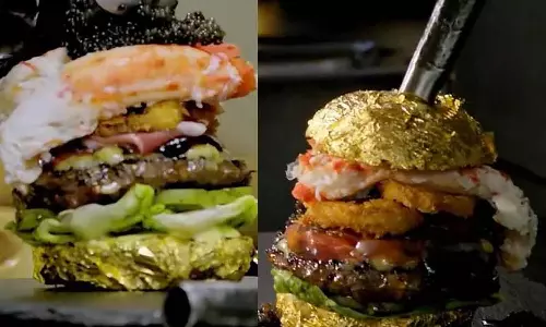 கின்னசில் இடம் பிடித்த ரூ.4.5 லட்சம் மதிப்புள்ள பர்கர்- வீடியோ