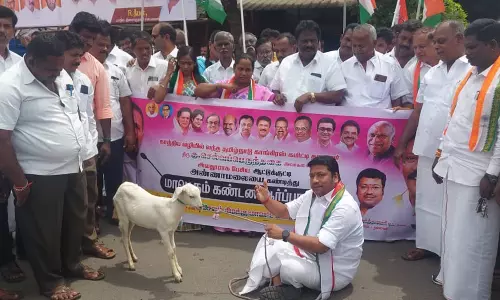அண்ணாமலையை கண்டித்து காங்கிரசார் ஆட்டுகுட்டியுடன் சாலை மறியல் போராட்டம்