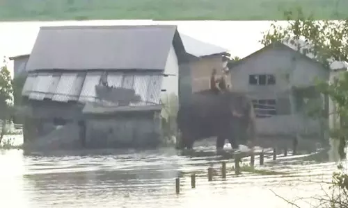 அசாம் வெள்ளத்தில் சிக்கி உயிரிழந்தோர் எண்ணிக்கை 84 ஆக உயர்வு