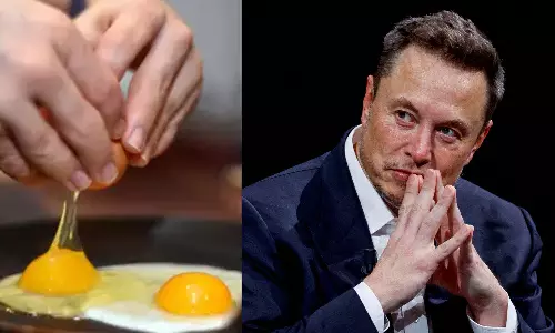 ஆம்லெட் சாப்பிட மாட்டேன் என்று கூறிய எலான் மஸ்க் - ஏன் தெரியுமா?