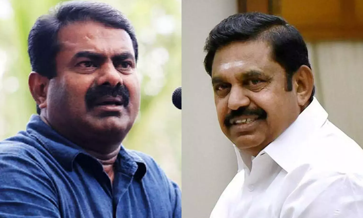 2026-ல் நாம் தமிழருடன் கூட்டணி? - அ.தி.மு.க. நிர்வாகிகள் கோரிக்கை