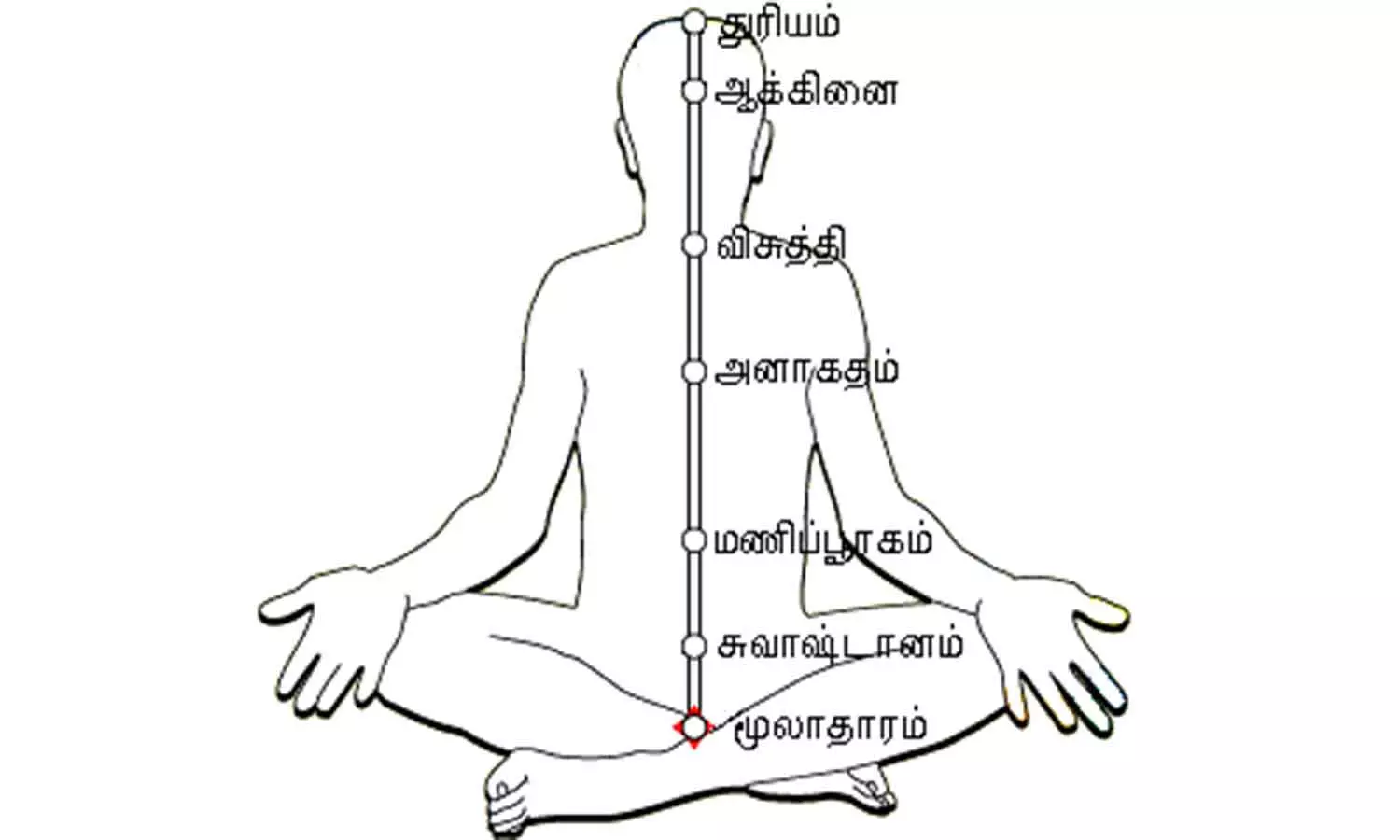 குண்டலினி யோகப் பயிற்சியின் மகத்துவம் குண்டலினி யோகப் பயிற்சியின் மகத்துவம்