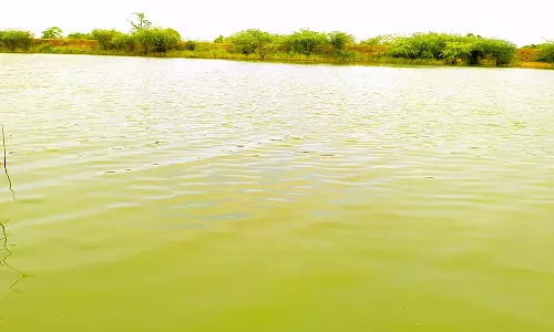 பச்சை நிறமாக மாறிய வீராணம் ஏரி தண்ணீர்- பொதுமக்கள், விவசாயிகள் அச்சம்