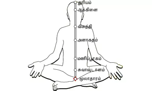 குண்டலினி யோகப் பயிற்சியின் மகத்துவம்