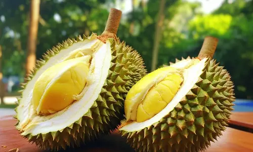 ரத்த சர்க்கரை அளவை கட்டுப்படுத்தும் துரியன் பழம்