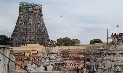 திருச்செந்தூர் சுப்பிரமணிய சுவாமி கோவிலில் ஆனி வருஷாபிஷேகம்