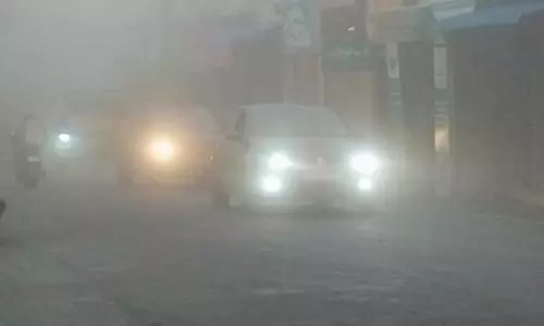 ஏற்காட்டில் சாரல் மழையுடன் கடும் பனிப்பொழிவு