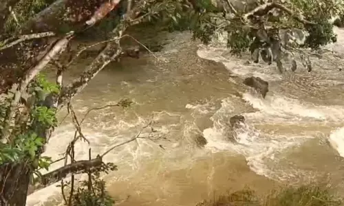 நீலகிரியில் விடிய, விடிய கொட்டி தீர்த்த கனமழை மாயாற்றில் கடும் வெள்ளப்பெருக்கு