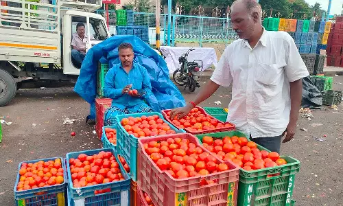 ஒரு கிலோ தக்காளி ரூ.85-க்கு விற்பனை- இல்லத்தரசிகள் அதிர்ச்சி