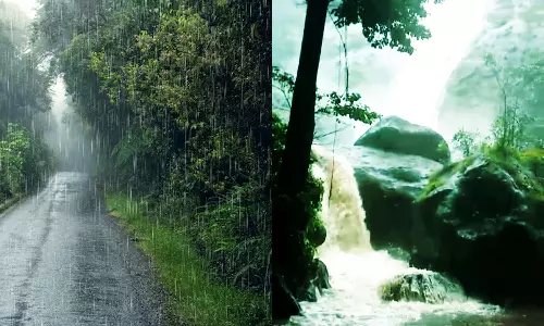 சேர்வலாறு அணை நீர்மட்டம் ஒரே நாளில் 9 அடி உயர்வு