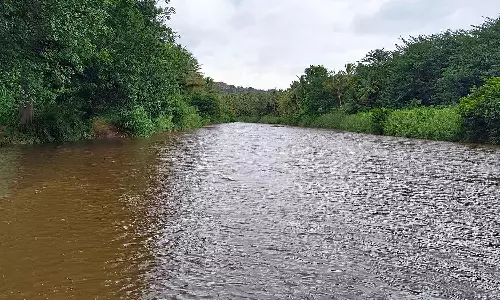 மூல வைகை ஆற்றில் வெள்ளப்பெருக்கால் விவசாயிகள் மகிழ்ச்சி
