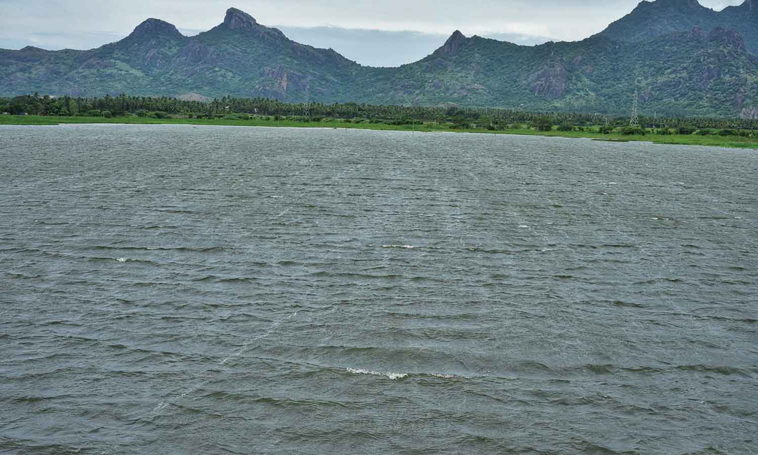 திற்பரப்பு அருவியில் 2-வது நாளாக குளிக்க தடை திற்பரப்பு அருவியில் 2-வது நாளாக குளிக்க தடை