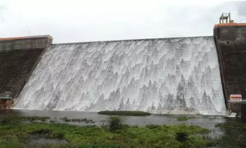 அடவிநயினார் அணை நீர்மட்டம் ஒரே நாளில் 12 அடி உயர்வு