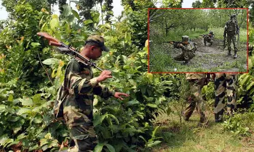 என்கவுன்டர்: மகாராஷ்டிரா- சத்தீஸ்கர் எல்லையில் 12 நக்சலைட்டுகள் சுட்டுக்கொலை