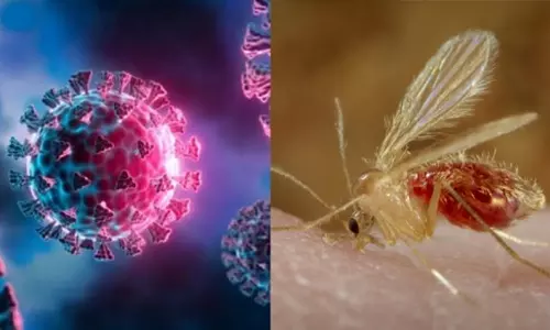 காவு வாங்கிய புது வைரஸ்: பரிதாபமாக உயிரிழந்த 4 வயது சிறுமி