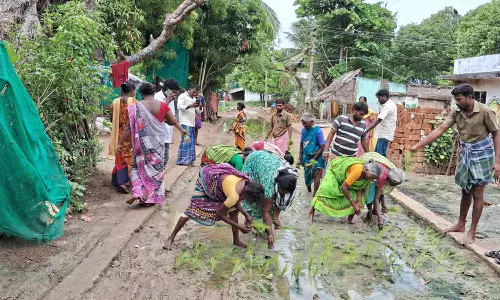 சேரும் சகதியமான தெருக்களில் நாற்று நடும் போராட்டம்