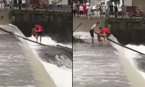 வெள்ளத்தில் தவித்த நாய் ஏணி மூலம் மீட்பு- வைரலாகும் வீடியோ