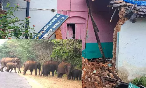 ரேசன் கடையை சூறையாடி அரிசி மூட்டையை தூக்கி சென்ற யானைகள் கூட்டம்