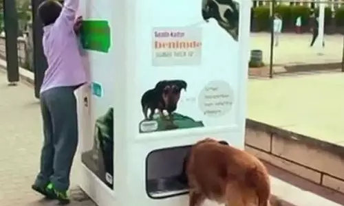 தெருநாய்களுக்கு உணவு வழங்கும் ஏ.டி.எம். எந்திரம்... பேடிஎம் நிறுவனரின் புது முயற்சி