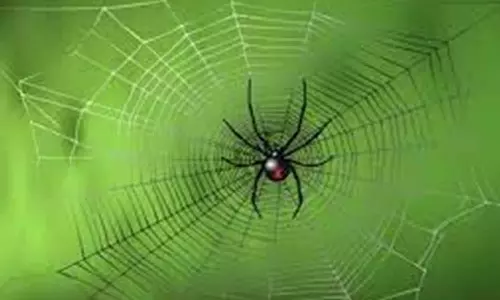 விந்தை உலகம்