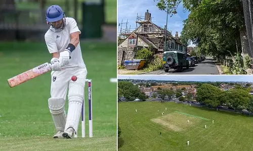 cricket -  six - out