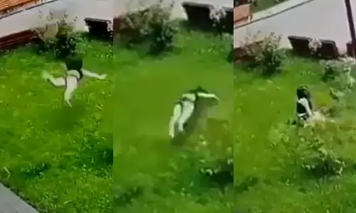 13 வது மாடியிலிருந்து கீழே விழுந்து உயிர்பிழைத்த இளம்பெண்.. அதிரவைக்கும் வீடியோ