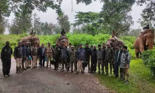 காட்டு யானைகளை விரட்டக் கோரி போராடும் கிராம மக்கள்